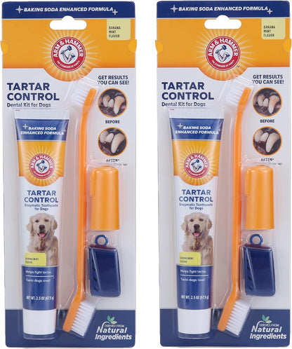 Arm & Hammer for Pets Tartar Control Dog Dental Kit, Enzymatic Toothpaste with Toothbrush and Fingerbrush, Baking Soda Formula Reduces Plaque and Tartar, Safe for Puppies, Beef Flavor, 3-Piece