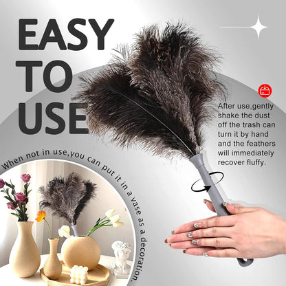 Lambswool Extendable Mini Duster 14-34 Inch Stainless Steel Extension Telescoping Pole Wool Dusters for Cleaning Ceiling Fans Window Blinds Car Interiors Furniture Dusting