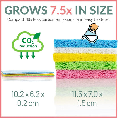 bioGo 12 Pack Natural Biodegradable Kitchen Sponges - Eco-Friendly, Compostable, Cellulose Dish - Compostable - Biodegradable - Cellulose Sponge