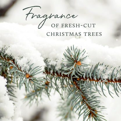 Thymes Frasier Fir All-Purpose Cleaner - Biodegradable Cleaner with Natural Essential Oils - Household Spray for Cleaning Bathrooms, Kitchens, Counters, and Other Surfaces (16 fl oz)