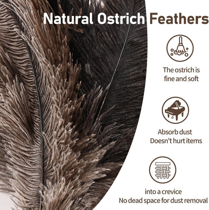 Ostrich Feather Duster 12 Inch Handheld Duster Supplies, Wooden Handle Feather Duster for Cleaning Keyboard Home Car Office (Champagne)