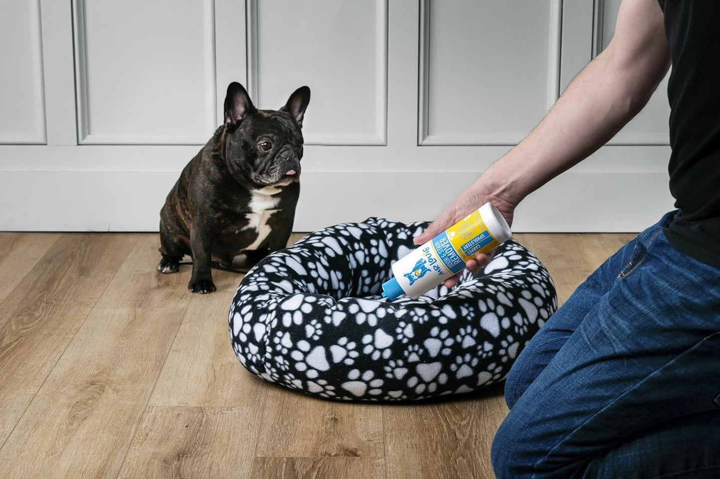 MR LOUIE Stain & Odor Remover for Carpet & Upholstery - Precision Pour No-Spray Cleaner Tough on Dog & Cat Urine, Vomit & Kid Stains with No Chemical Scent- Safe for Kids & Pets (16oz)