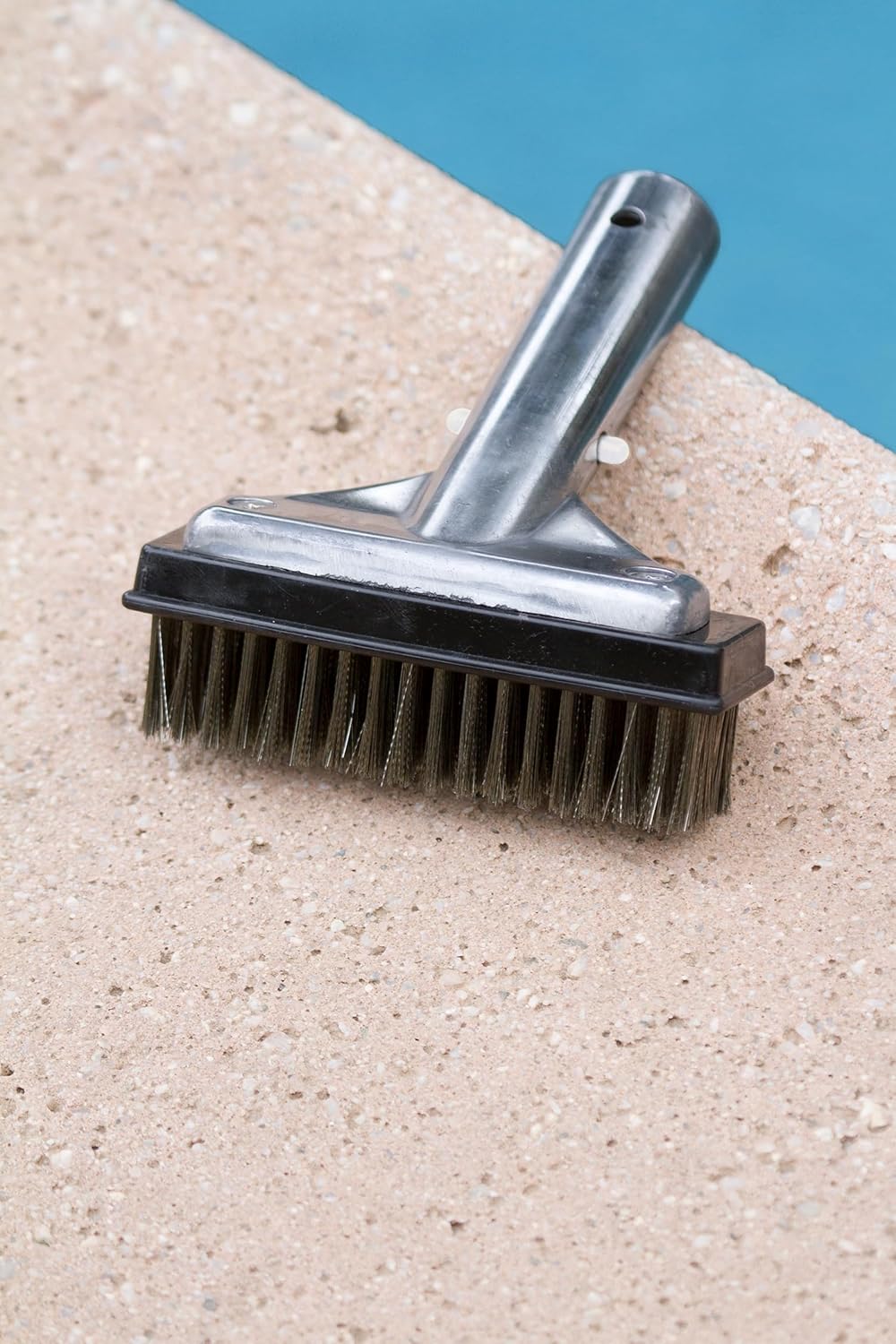 Poolmaster 5-Inch Stainless Steel Pool Algae Detail Brush, Heavy-Duty Aluminum Back, for Gunite Concrete Pools and Spas, Small Narrow Head for Corners, Steps and Tight Areas