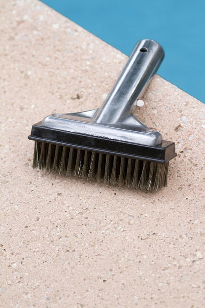 Poolmaster 5-Inch Stainless Steel Pool Algae Detail Brush, Heavy-Duty Aluminum Back, for Gunite Concrete Pools and Spas, Small Narrow Head for Corners, Steps and Tight Areas