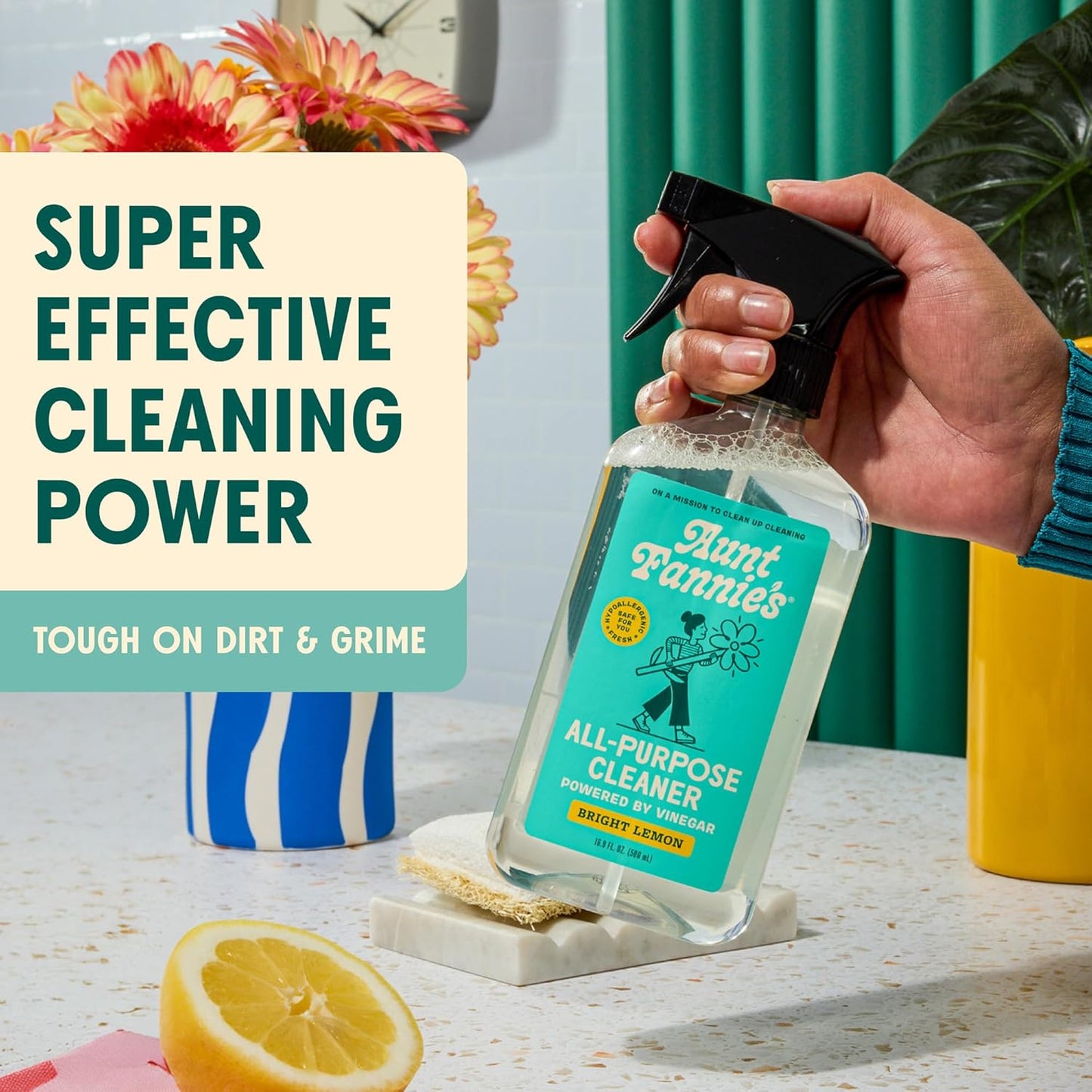 Aunt Fannie's All Purpose Household Cleaner, Multi-surface Spray, Powered by Vinegar for Kitchen, Bath, Windows and Countertops, Eucalyptus Scent (Pack of 1)