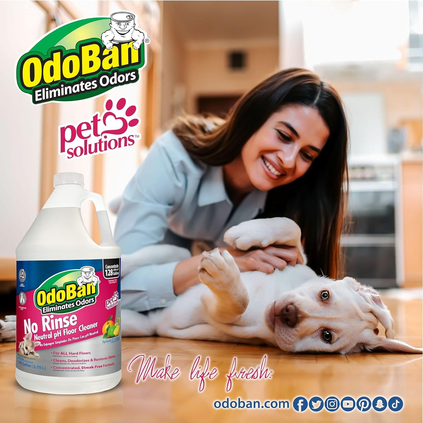 OdoBan Pet Solutions No Rinse Neutral pH Floor Cleaner Concentrate, Made in the USA, Splash O' Citrus Scent, 2 Gallons