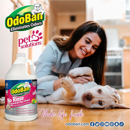 OdoBan Pet Solutions No Rinse Neutral pH Floor Cleaner Concentrate, Made in the USA, Splash O' Citrus Scent, 2 Gallons