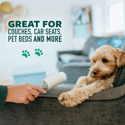 Scotch-Brite Pet Hair Pickup Lint Roller, Designed for Removing Fur + Fluff on Couches, Clothes, Dog and Cat Beds, & More, 1 Pack, 30 Easy-Tear Adhesive Sheets Total