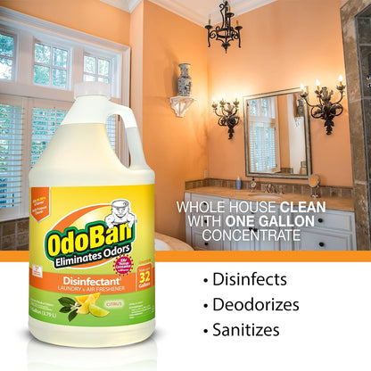 OdoBan Disinfectant Concentrate and Odor Eliminator, Made in the USA, Lavender Scent, 1 Gallon
