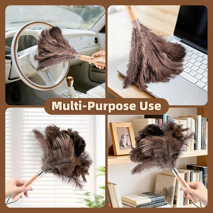 Extendable Ostrich Feather Duster with 19-49 inch Rotatable Stainless Steel Pole, Natural Feather Duster for Ceiling Fan Cobweb Dusting, Reusable Flexible Cleaning Duster(Include 1 Replacement Heads)