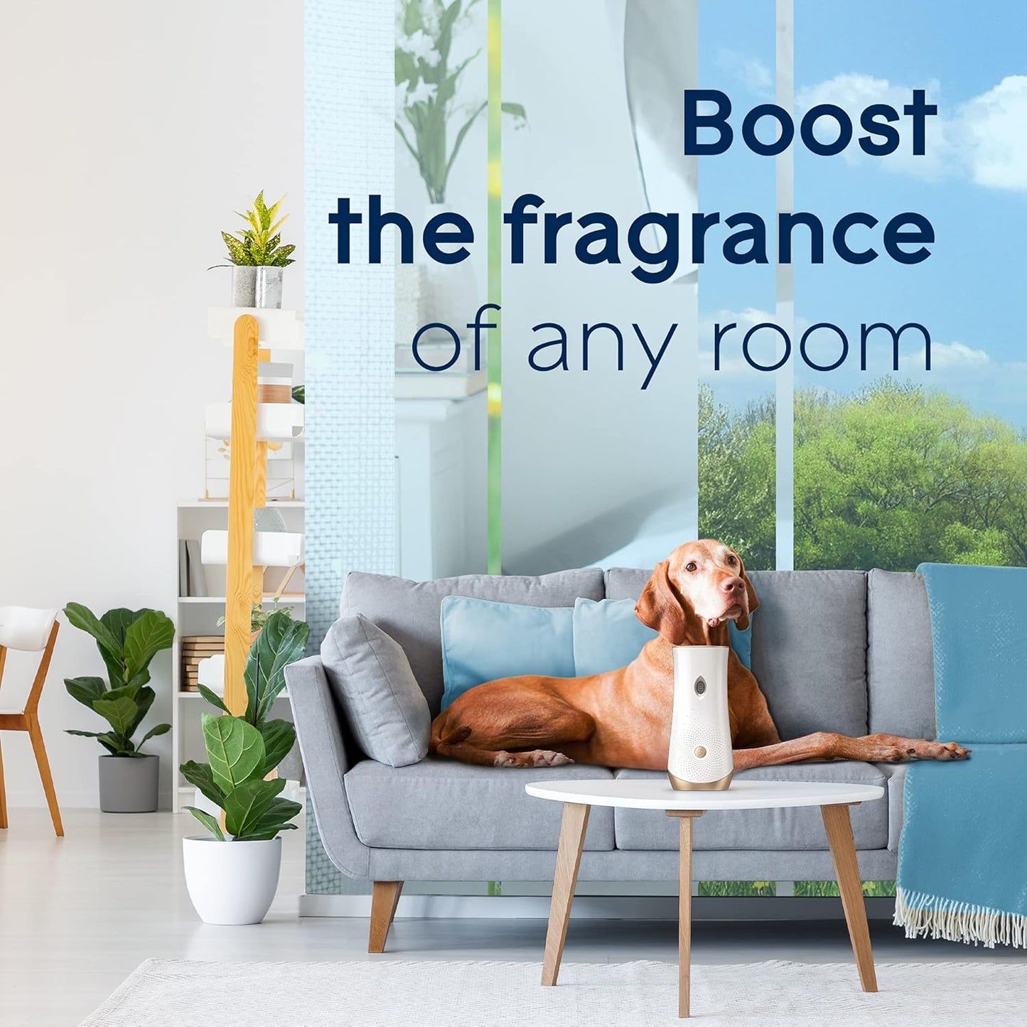 Glade Automatic Spray Refill, Pet Fresh Scent, Scented Air Freshener for Home and Bathroom, 6.2 Oz, 2 Count