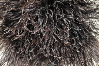 Royal Duster®, Premium Genuine Ostrich Feather Duster 14 inch
