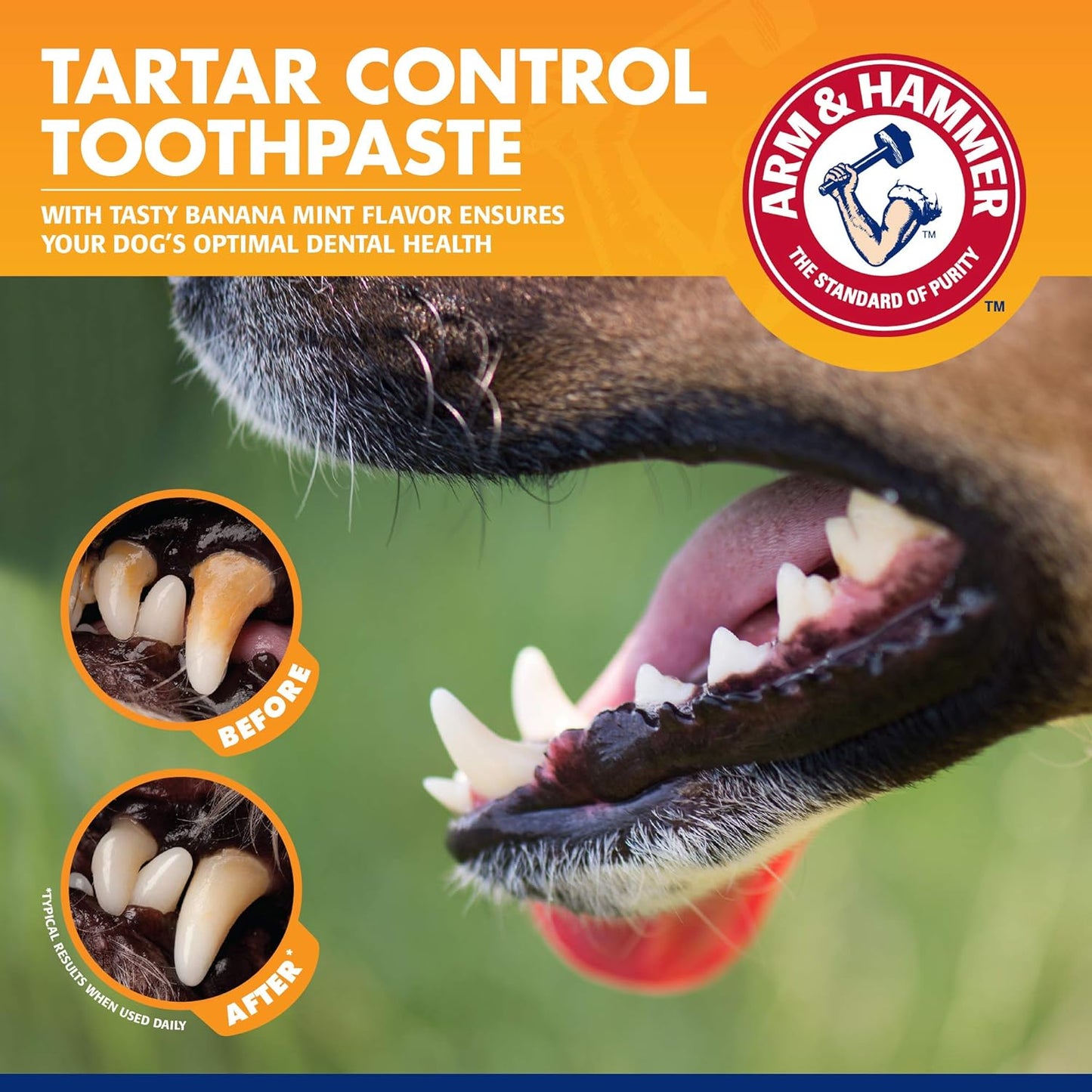 Arm & Hammer for Pets Tartar Control Dog Dental Kit, Enzymatic Toothpaste with Toothbrush and Fingerbrush, Baking Soda Formula Reduces Plaque and Tartar, Safe for Puppies, Beef Flavor, 3-Piece