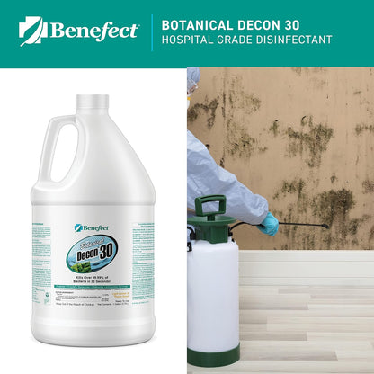 Benefect Botanical Decon 30 Disinfectant Cleaner, 4 oz. Spray Bottle, Light Lemon & Thyme Scent, Hospital Grade Disinfectant, Kills Over 99.99% of Germs, Safe for Food-Contact Surfaces (Pack of 4)
