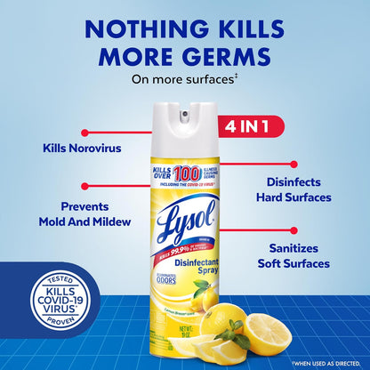 Lysol Disinfectant Spray, Sanitizing and Antibacterial Spray, For Disinfecting and Deodorizing, Mango & Hibiscus, 19 Fl. Oz (Pack of 2)