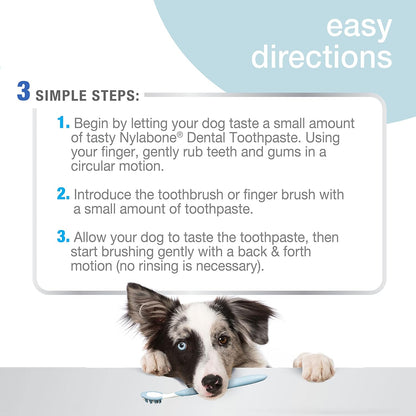 Nylabone Advanced Oral Care Natural Toothpaste Peanut Butter 2.5 oz. (1 Count)