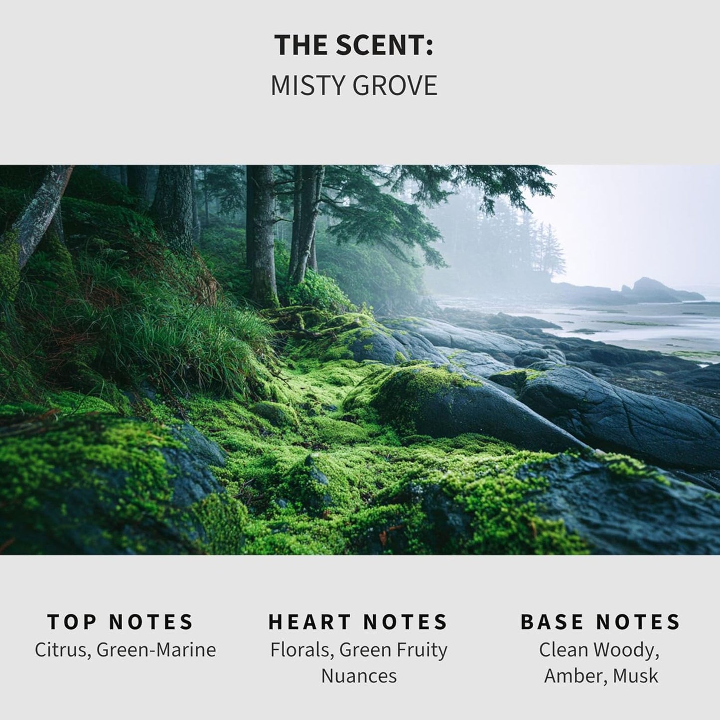 Lapew Santal Scented Mop Soap - Luxury Floor Cleaner Concentrate for Mopping Tile, Laminate, Vinyl & Hardwood | Streak-Free, Low-Foam | 36 oz - Colors A