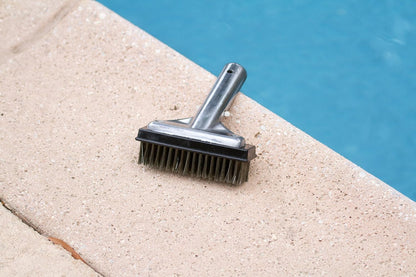 Poolmaster 5-Inch Stainless Steel Pool Algae Detail Brush, Heavy-Duty Aluminum Back, for Gunite Concrete Pools and Spas, Small Narrow Head for Corners, Steps and Tight Areas