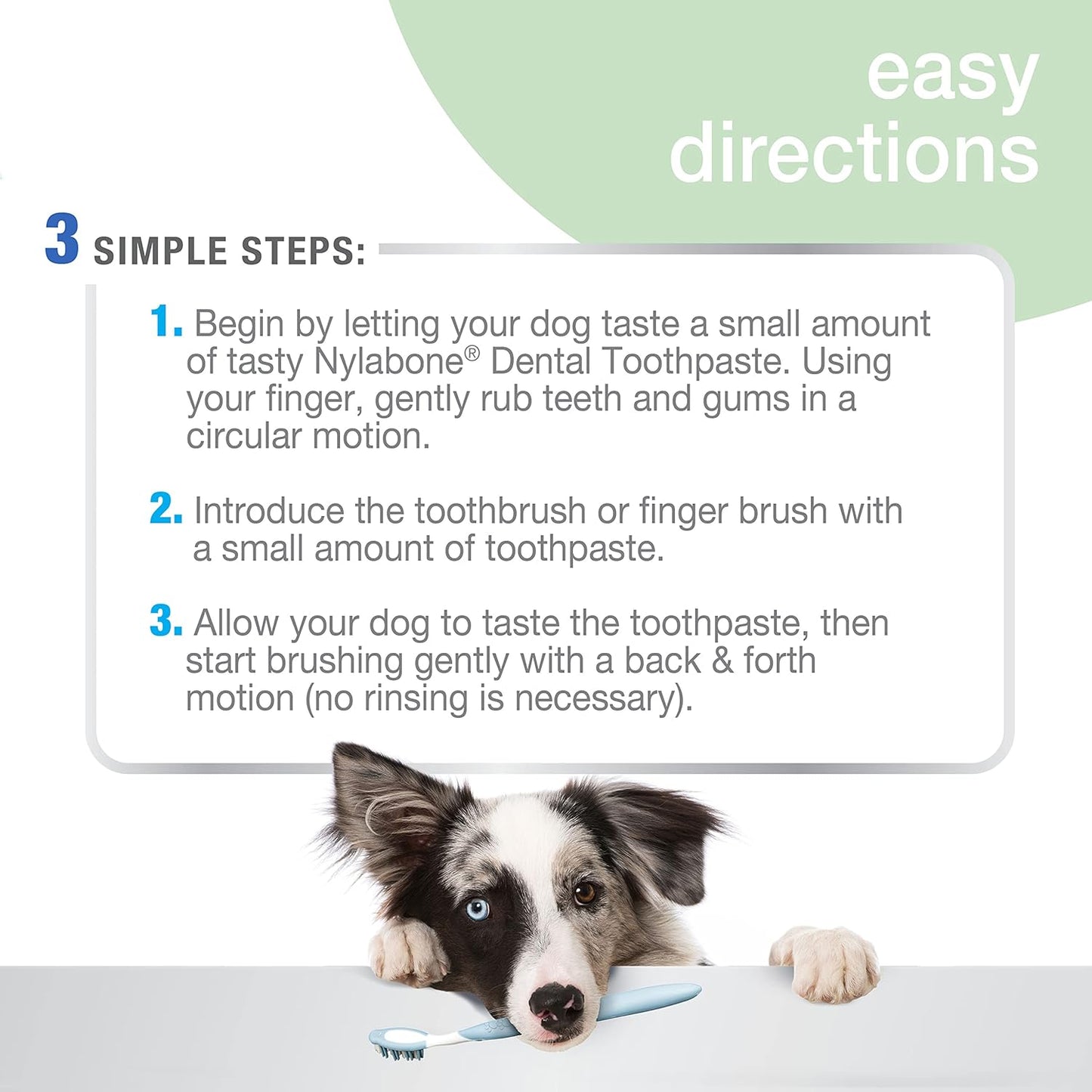 Nylabone Advanced Oral Care Natural Toothpaste Peanut Butter 2.5 oz. (1 Count)