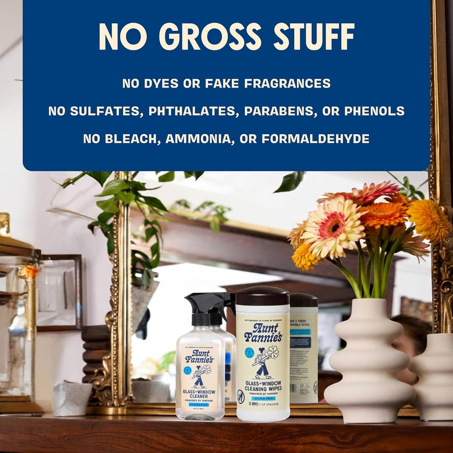 Aunt Fannie's Glass & Window Cleaning Vinegar Spray, Natural Streak-Free Spray, 16.9 Ounces (Pack of 1)