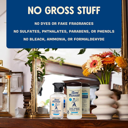 Aunt Fannie's Glass & Window Cleaning Vinegar Spray, Natural Streak-Free Spray, 16.9 Ounces (Pack of 1)