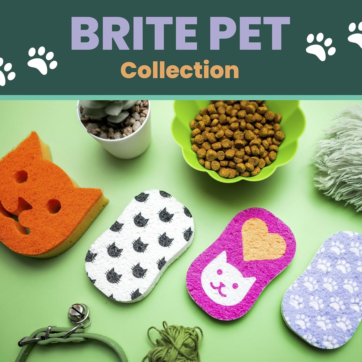 Scotch-Brite Doggone Tidy Non-Scratch Scrub Sponge, Two- Sided, Limited Edition, 1 Sponge