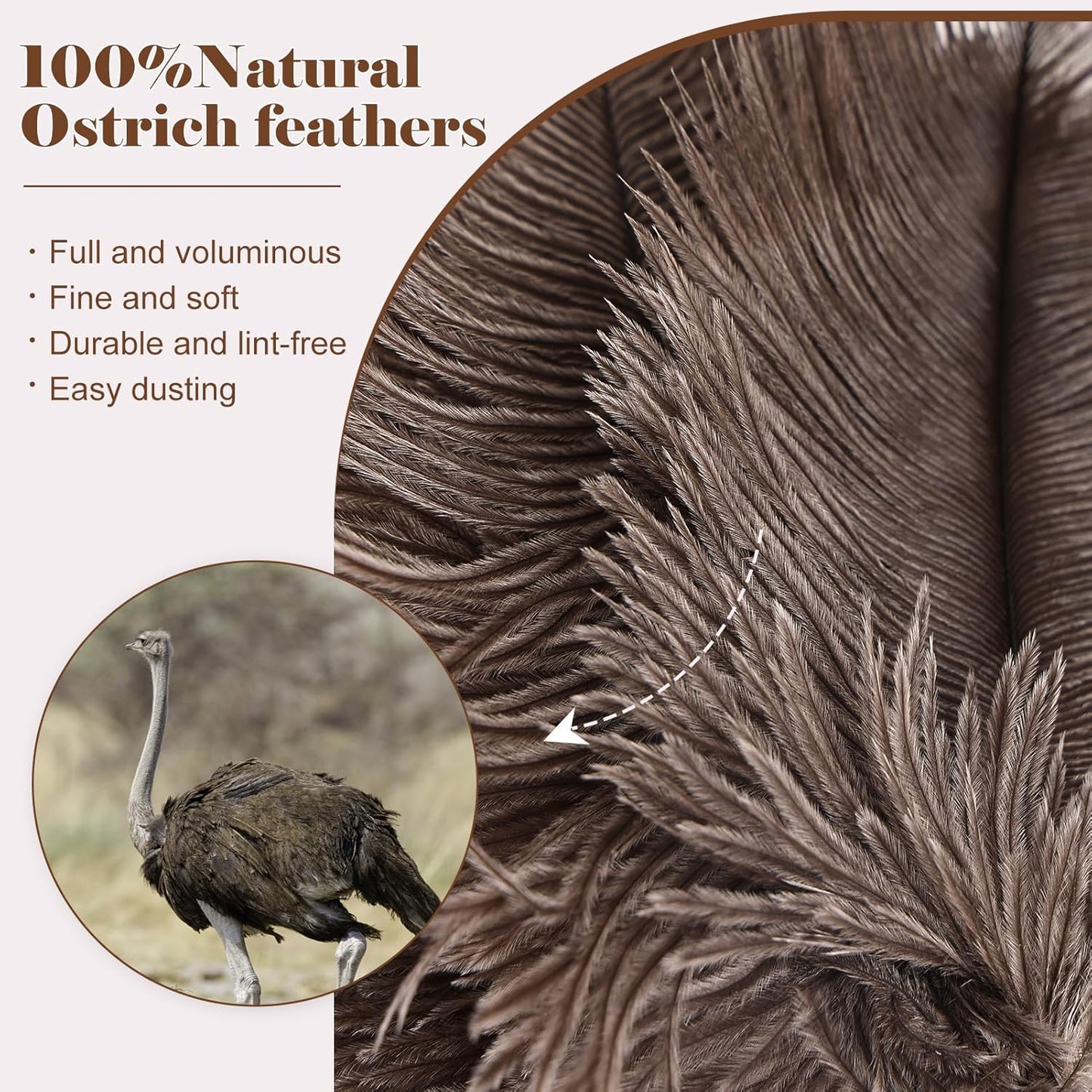 Natural Ostrich Feather Duster 14.9 inch Fluffy Mini Dusters with Plastic Handheld for Cleaning Car Keyboard Office 1 Pcs