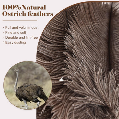 Natural Ostrich Feather Duster 14.9 inch Fluffy Mini Dusters with Plastic Handheld for Cleaning Car Keyboard Office 1 Pcs