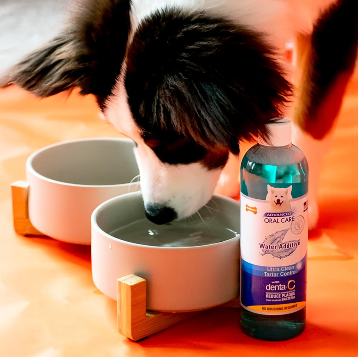 Nylabone Advanced Oral Care Pet Dental Foam Tartar Remover & Breath Freshener for Dogs, Dog Teeth-Cleaning, 4 oz.
