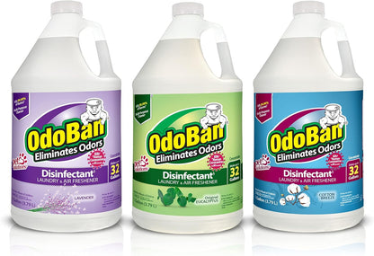 OdoBan Disinfectant Concentrate and Odor Eliminator, Made in the USA, Original Eucalyptus Scent, 1 Gallon