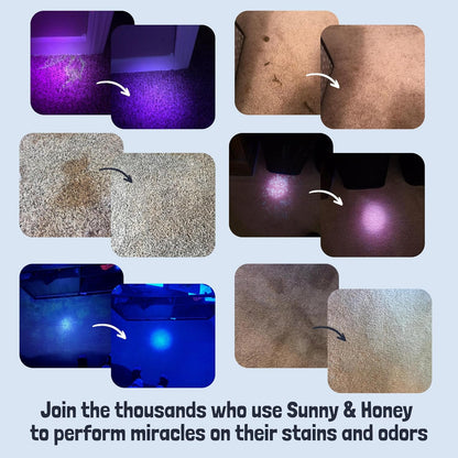 Sunny & Honey Pet Stain and Odor Remover - Enzyme Cleaner for Dog Urine and Poop on Carpets and Furniture - Strong Pet Carpet Cleaner Spray (1 Gallon Mint)
