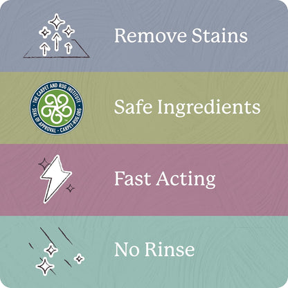 Shaw Floors Carpet Cleaner| Stain & Soil Remover for Carpet, Rugs, Upholstery and MORE | PACK OF 1