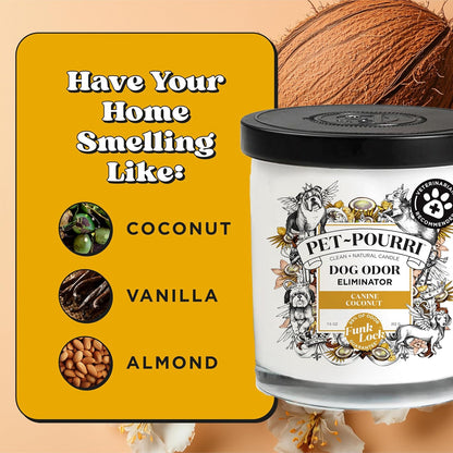 Pet-Pourri Pawsitively Fresh Pet Odor Deodorizer Candle, Burns Up to 45 Hours, Aromatherapy & Air Freshener with Essential Oils, Plant Based Ingredients & Wax, Vet Approved, Jasmine Pear Scent