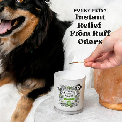 Pet-Pourri Pawsitively Fresh Pet Odor Deodorizer Candle, Burns Up to 45 Hours, Aromatherapy & Air Freshener with Essential Oils, Plant Based Ingredients & Wax, Vet Approved, Jasmine Pear Scent