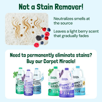Sunny & Honey Carpet Deodorizer and Freshener Powder - Pet Safe Rug Refresher for Vacuuming - Berry Odor Eliminator for Strong Odor and Pet Urine (20 oz)