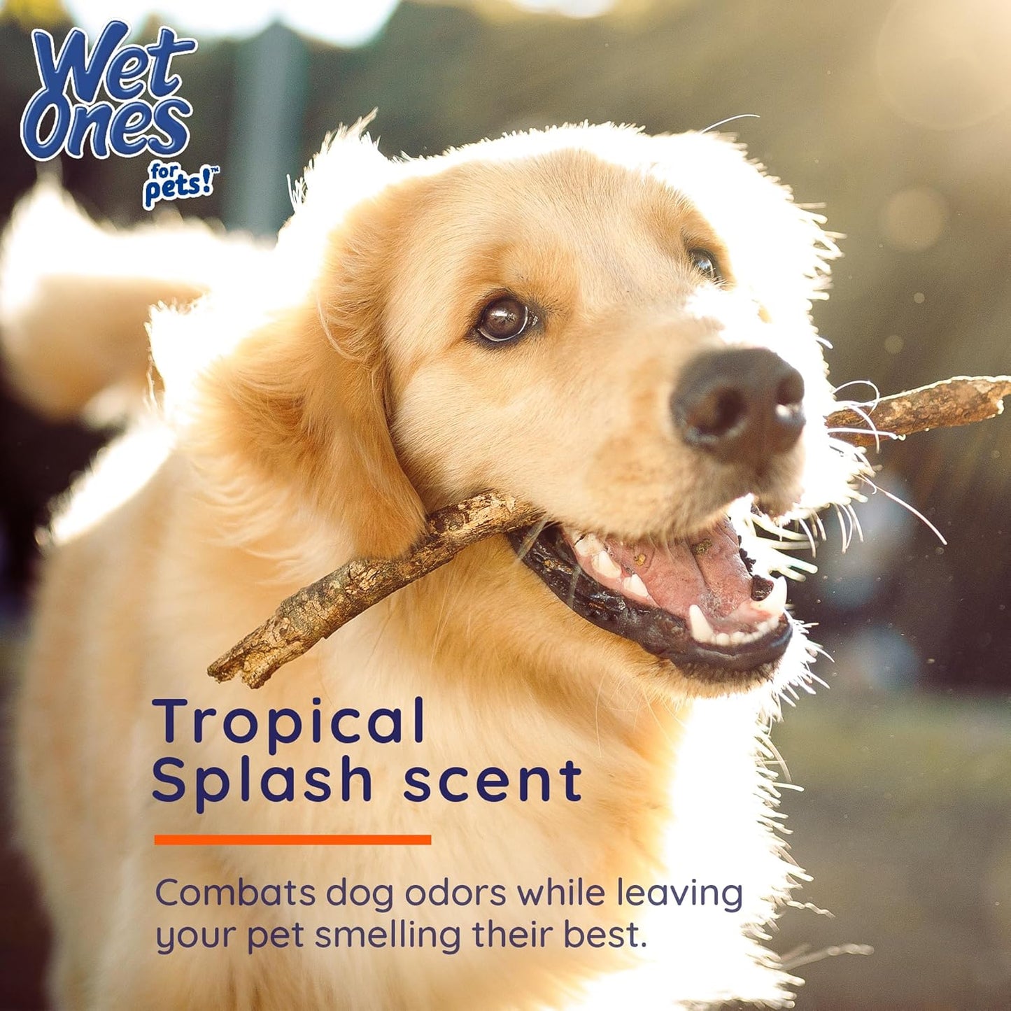 Wet Ones for Pets Antibacterial Dog Wipes, Multi-Purpose Grooming Wipes with Aloe Vera for Paws, Face & Body, Easy Cleanups Between Baths, Tropical Splash Scent, 5.7 in x 7.5 in, 50 Count