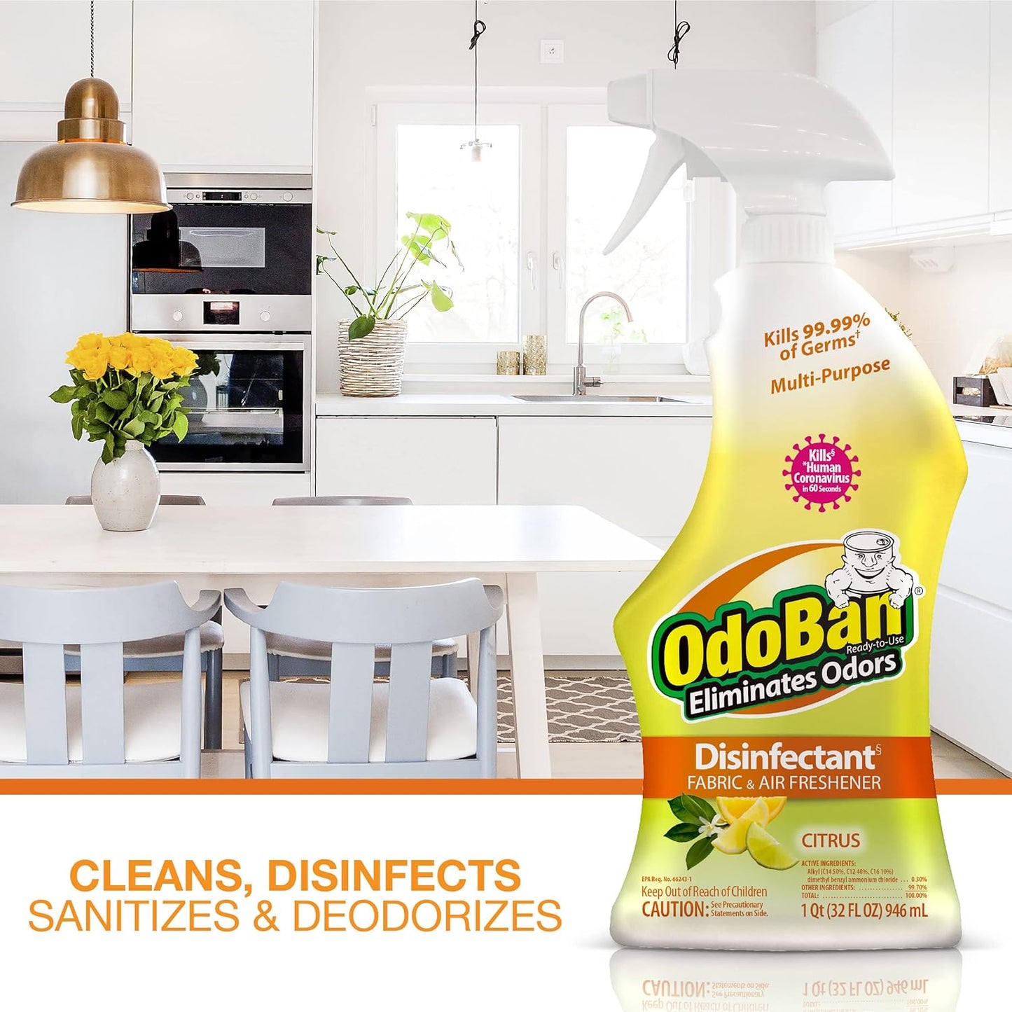 OdoBan Disinfectant Concentrate and Odor Eliminator, Made in the USA, Original Eucalyptus Scent, 1 Gallon