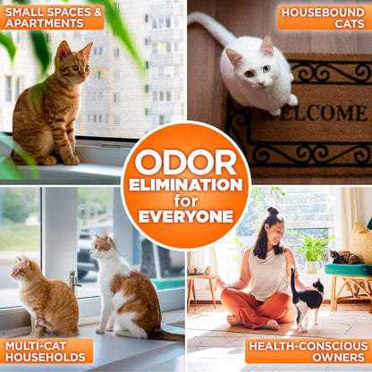 POOPH Kitty Odor Eliminator Spray 32oz Fragrance Free Cat Odor Remover for Urine Poop Pee Litter Box Deodorizer for Furniture Bedding and Carpet