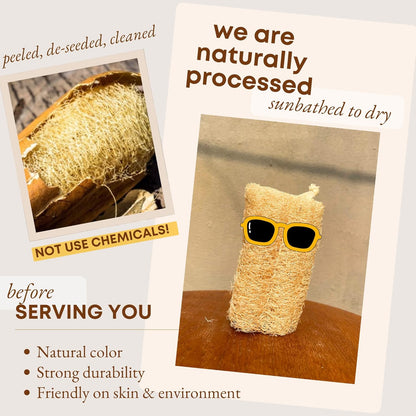 Natural Loofah Dish Sponge (Pack 30) Multipurpose Dish Sponges - 100% Biodegradable Compostable Dishwashing Scouring Pad Zero Waste (2.75" x 2.75" Each)