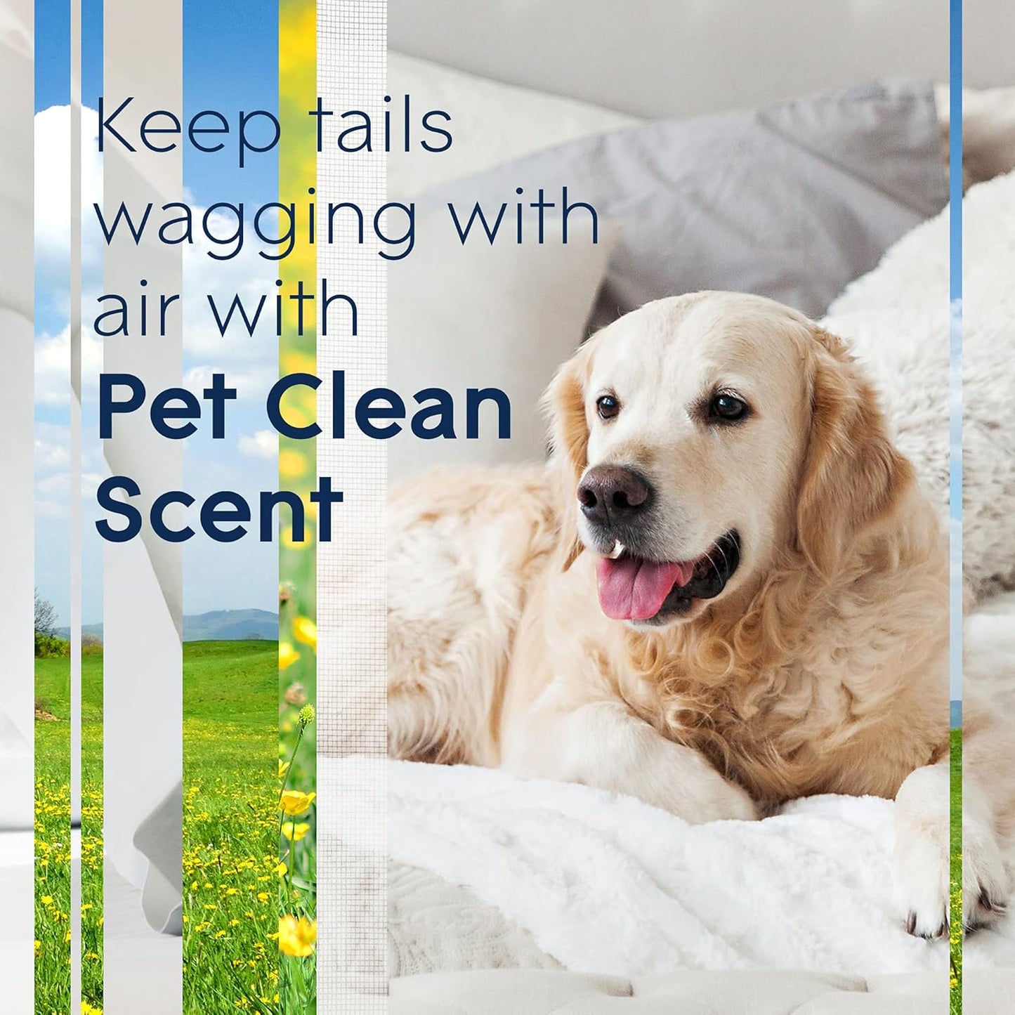 Glade Automatic Spray Refill, Pet Fresh Scent, Scented Air Freshener for Home and Bathroom, 6.2 Oz, 2 Count