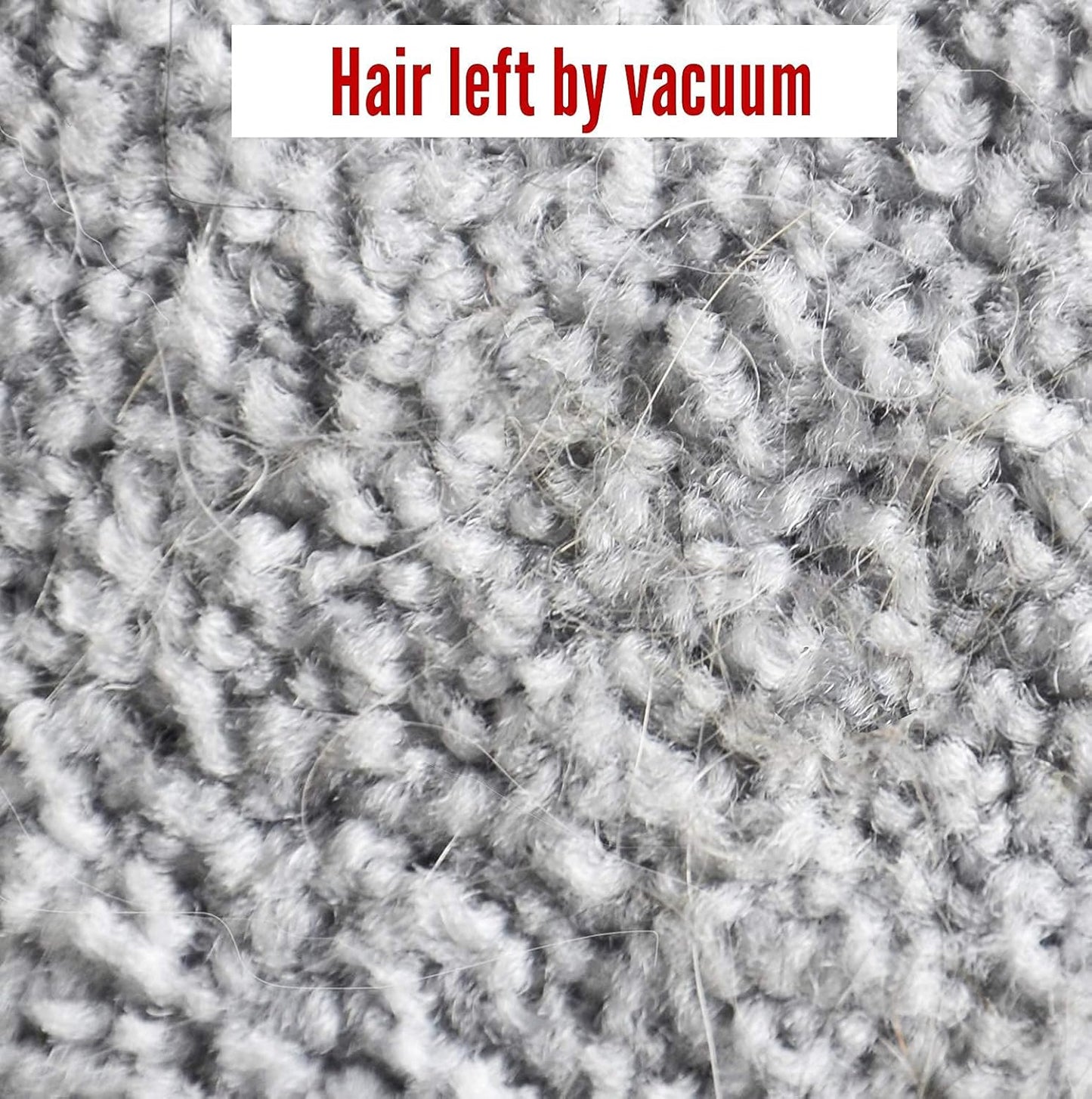 Lilly Brush Mighty Pet Hair Detailer Head (NO HANDLE) Dog & Cat Fur Clean-Up for Carpets and Rugs. Fits on ALL standard broom sticks.