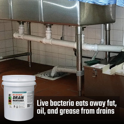 CLR PRO Commercial Drain Line and Grease Trap Treatment, Preventative Maintenance Microbial Formula, 1 Gallon Bottle