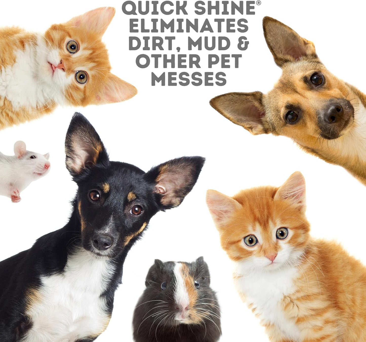 Quick Shine Hard Surface Pet Floor Cleaner 27 oz, 6Pk | Ready to Use, Removes Dirt, Streak Free, No Rinse | Hardwood, Laminate, Luxury Vinyl Plank LVT, & Tile | Safer for Kids, Pets & Our Environment
