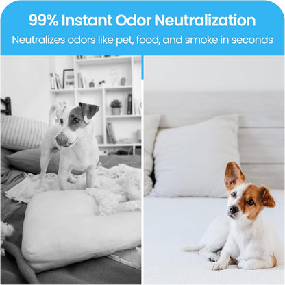 LAVONS Fabric Spray Freshener for Carpet Fresh, Pet Safe Linen Spray for Bedding, Organic Fabric Refresher Spray for Home & Offices, Natural Carpet Freshener from Japan, 12.5 Fl Oz FRENCH MACARON