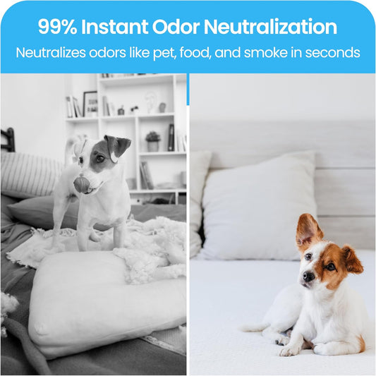 LAVONS Fabric Spray Freshener for Carpet Fresh, Pet Safe Linen Spray for Bedding, Organic Fabric Refresher Spray for Home & Offices, Natural Carpet Freshener from Japan, 12.5 Fl Oz LUXURY RELAX 2EA