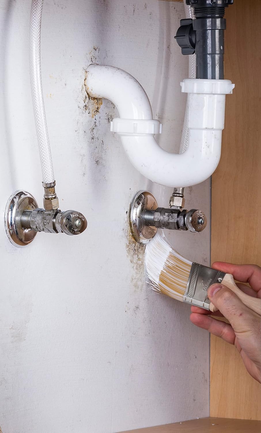 qt Zinsser 276087 White Zinsser, Mold Killing Primer Water-Based Mold Killing Primer