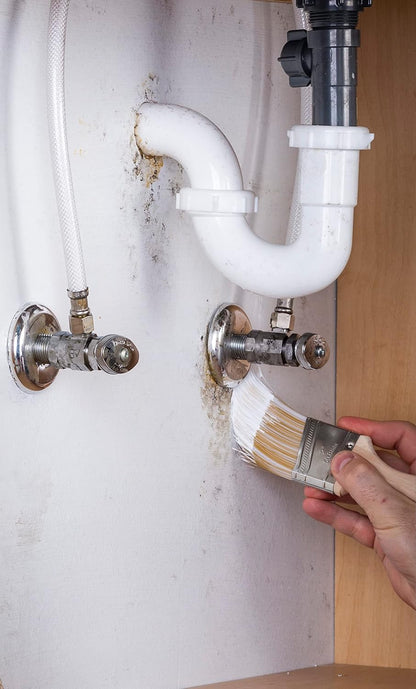 qt Zinsser 276087 White Zinsser, Mold Killing Primer Water-Based Mold Killing Primer