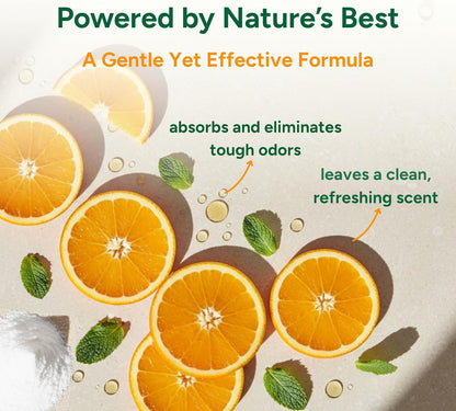 Good Natured Brand | Carpet Deodorizer 31 oz Orange & All-Purpose Cleaner Concentrate 8 oz Orange