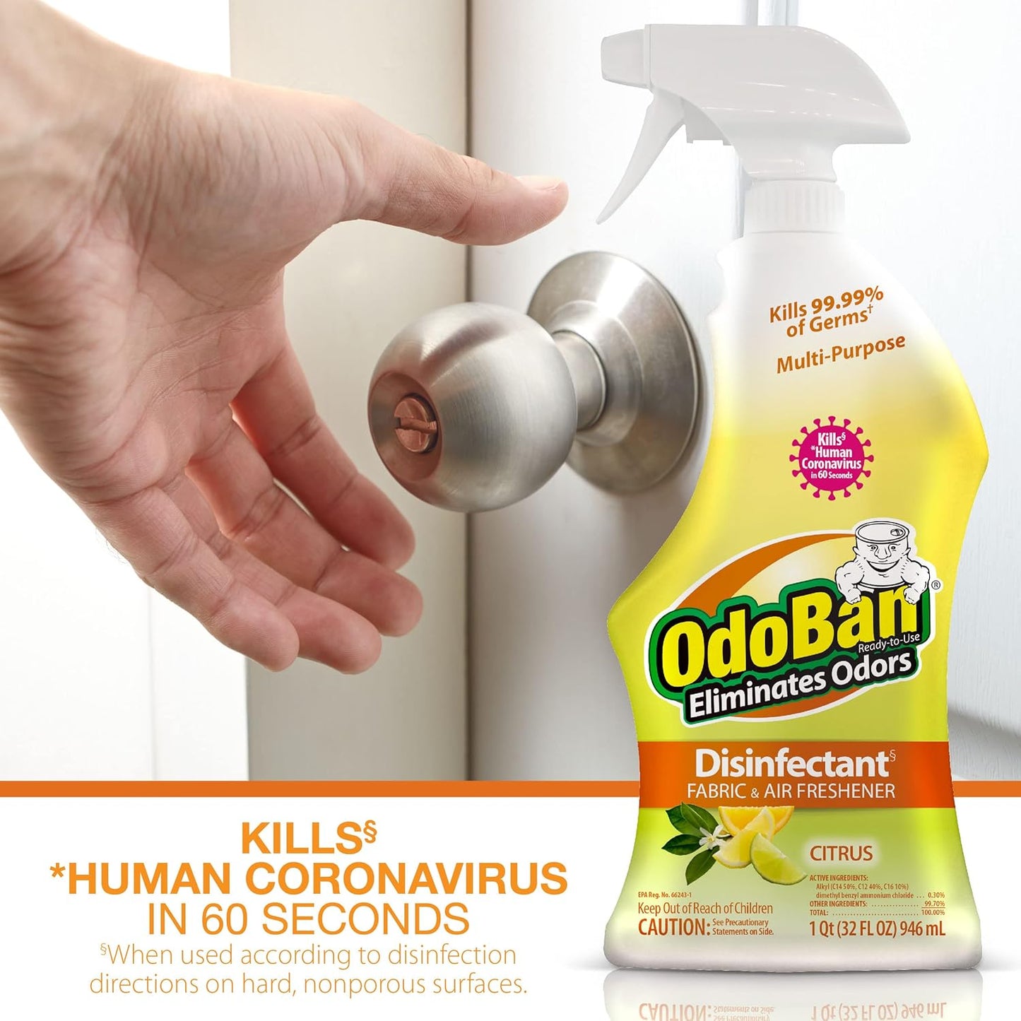 OdoBan Disinfectant Concentrate and Odor Eliminator, Made in the USA, Original Eucalyptus Scent, 1 Gallon