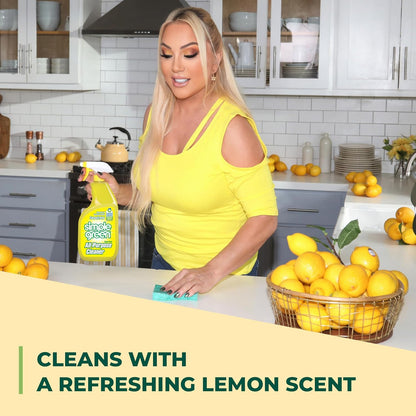 Simple Green AllPurpose Cleaner, 32 Fl Oz (Pack of 3), Original